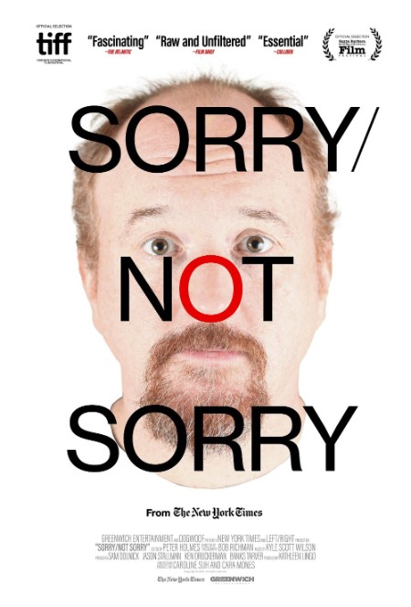 Sorry Not Sorry (2023) 720p WEBRip x264 AAC-YTS