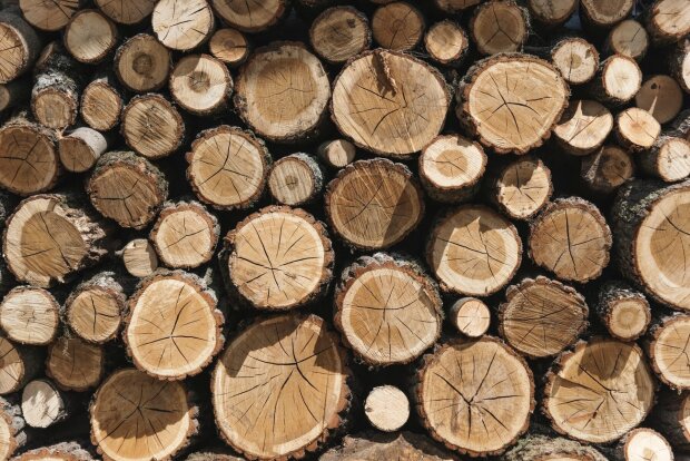 Точно допоможуть дровами для опалення: список обмежений, але може пощастити