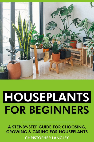 Houseplants for Beginners: A Step-By-Step Guide to Choosing E90c3a14727d19fcecb49ff39d66829e