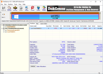 DiskGenius Professional 5.6.0.1565 Multilingual