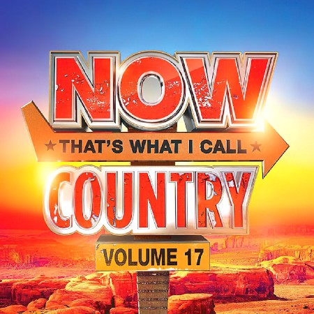 VA - NOW That's What I Call Country Vol. 17 (US) 2024