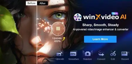 Winxvideo AI 3.1 Multilingual (x64)