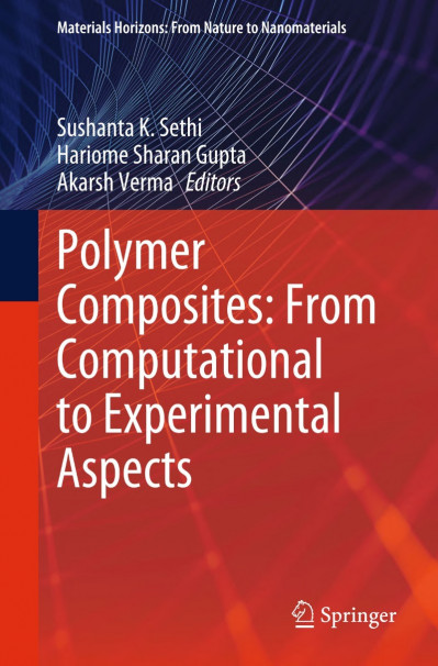 Polymer Composites: From Computational to Experimental Aspects - Sushanta K. Sethi