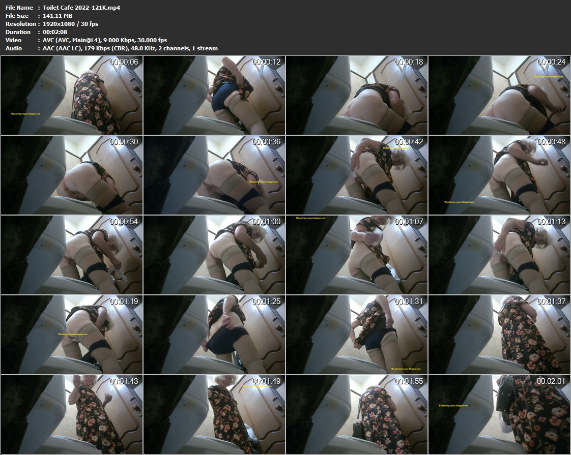 Wandering voyeur: cafe toilet 2023-18