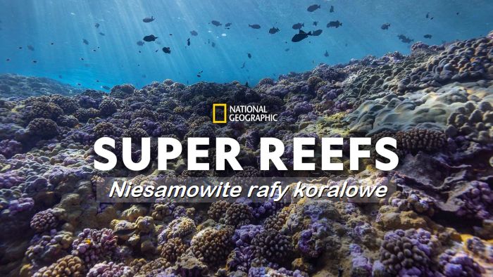 Niesamowite rafy koralowe / Super Reefs (2023) [SEZON 1 ]   PL.1080i.HDTV.H264-B89 / Lektor PL