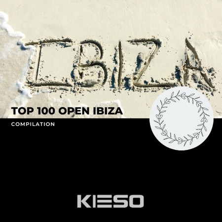 VA - Top 100 Open Ibiza 2024