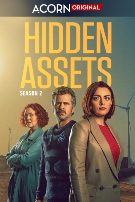 Hidden Assets S02 COMPLETE 720p WEBRip x264