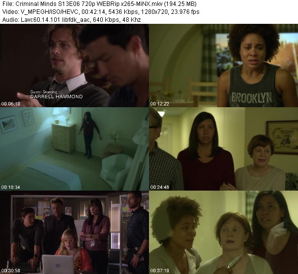 [Multi] Criminal Minds S13E06 720p WEBRip x265-MiNX - WAREZ-V3