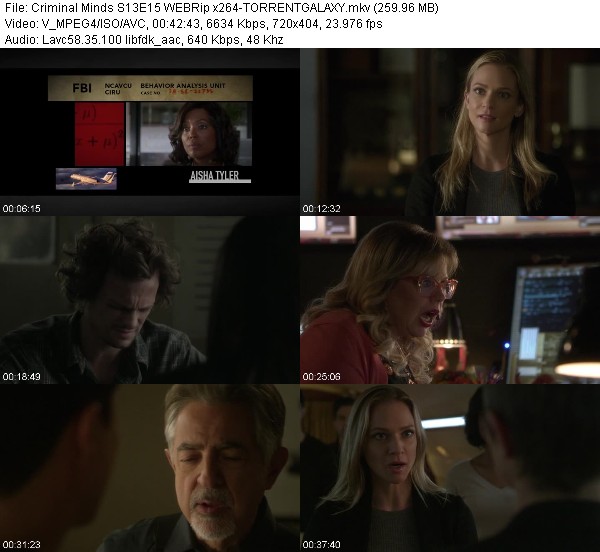 [Multi] Criminal Minds S13E15 WEBRip x264-TORRENTGALAXY - WAREZ-V3