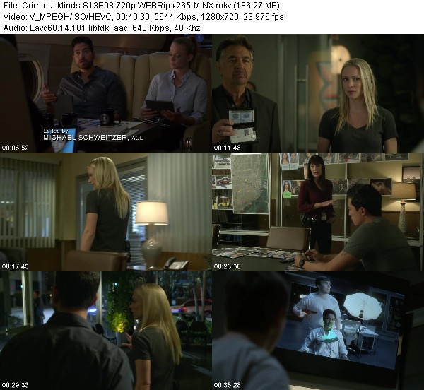 [Multi] Criminal Minds S13E08 720p WEBRip x265-MiNX - WAREZ-V3