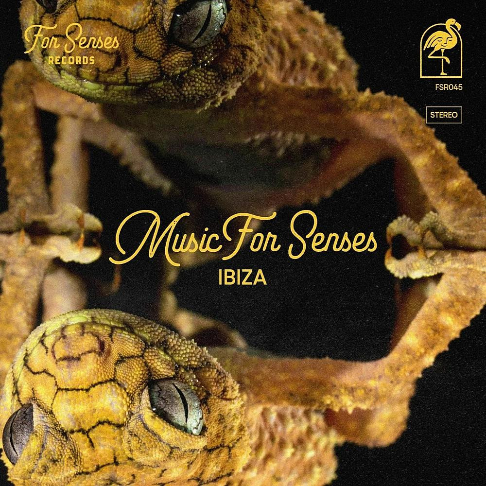 Music for Senses - IBIZA 2024