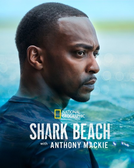 Shark Beach With Anthony Mackie (2024) 720p WEBRip x264 AAC-YTS