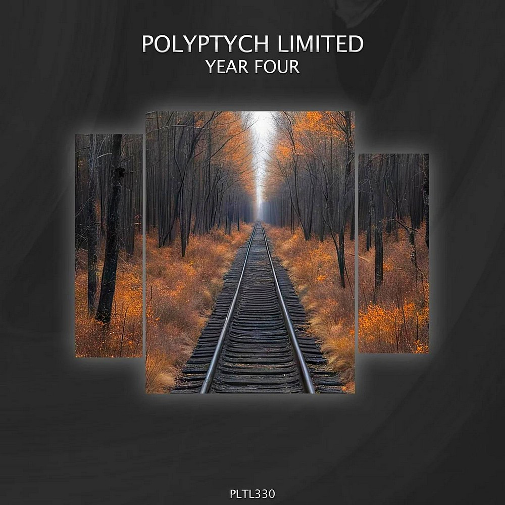 Polyptych Limited: Year Four (2024)