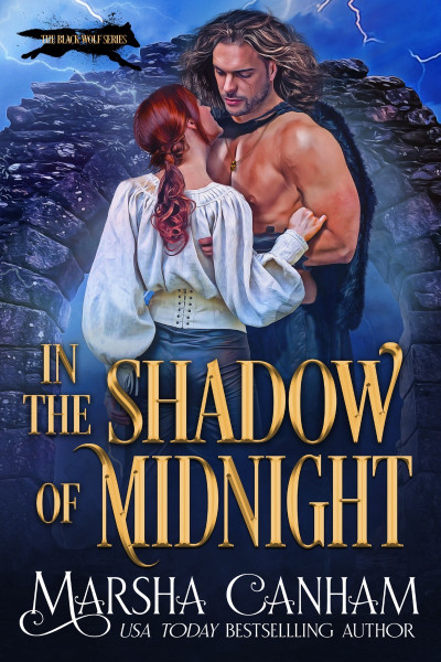 In the Shadow of Midnight - Willow Love