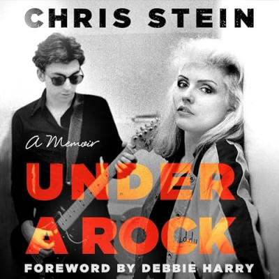 Under a Rock: A Memoir - [AUDIOBOOK]