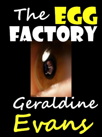 The Egg Factory - Geraldine Evans B26f50d29771e4f62f908c050abfdf76