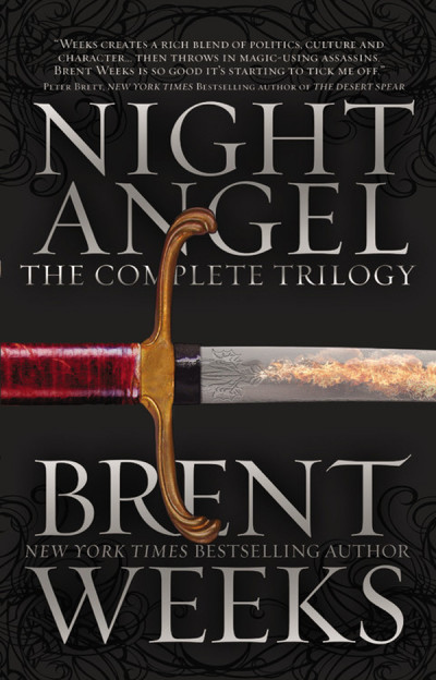 Night Angel Nemesis - Brent Weeks 6707b5e97d2e63c1055ce893fd532368