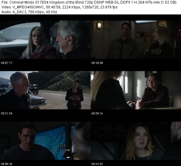 [Multi] Criminal Minds S17E04 Kingdom of the Blind 720p DSNP WEB-DL ...