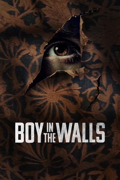 Boy In The Walls (2023) 1080p WEBRip-LAMA E8ee147b27fca54dc7292b00203b6f29