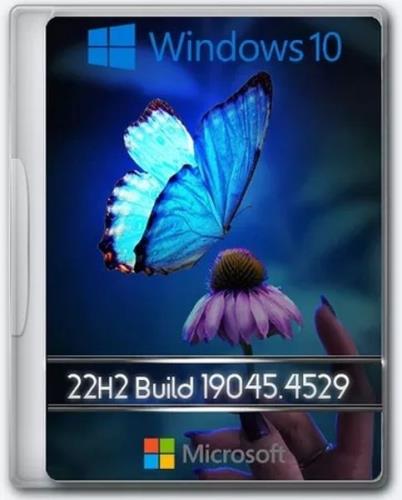 Windows 10 Optima Pro 22H2 19045.4529 x64 (Ru/En/2024)