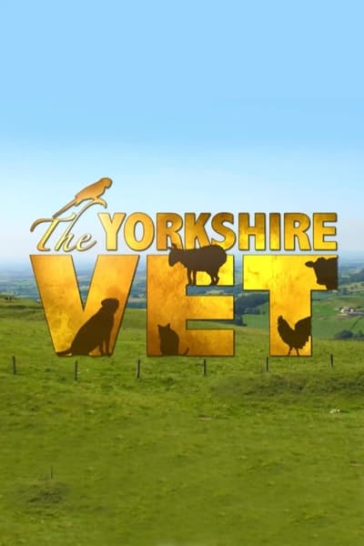 The Yorkshire Vet S18E10 1080p HEVC x265-MeGusta