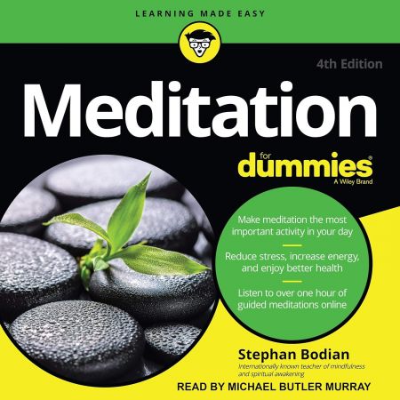 Meditation For Dummies, 4th Edition (Audiobook)