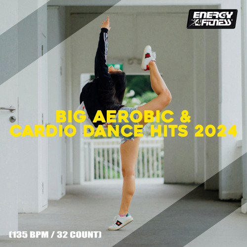 Big Aerobic and Cardio Dance Hits 2024 (2024) FLAC