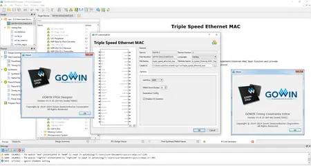 Gowin EDA (FPGA Designer) 1.9.9.10 Build 75092 (x64)