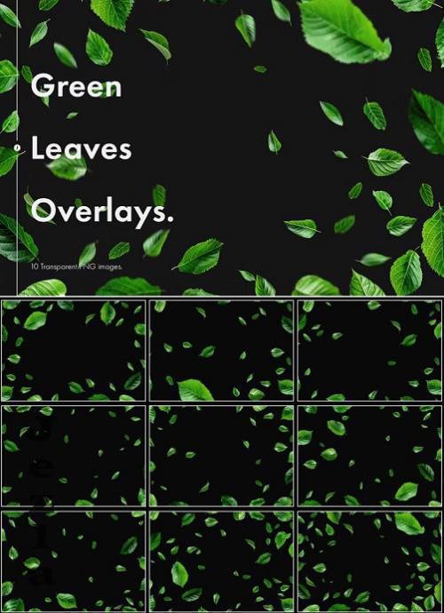 Green Leaves Overlays - MG3K5QW