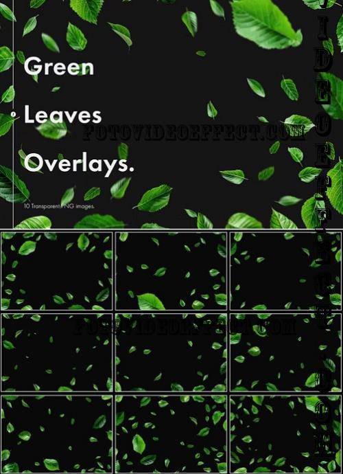 Green Leaves Overlays - MG3K5QW