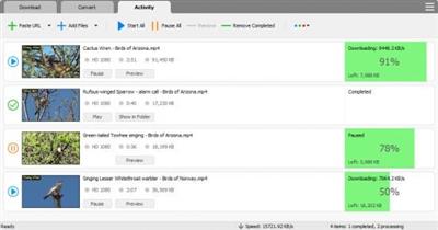 YT Video Downloader  11.21