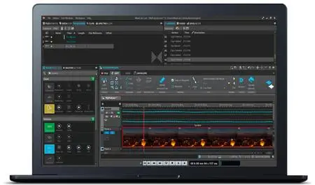 Steinberg WaveLab Pro 12.0.30 macOS