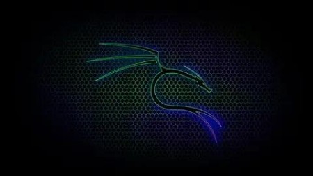 Kali Linux Essentials Training | Kali For Beginners