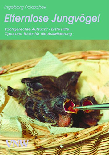 Uta Reimann-H&ouml;hn - Kalter Koi: Wenn tote Fische sprechen k&ouml;nnten (Madita Berg: Ermittlungen in der Nachbarschaft 1)