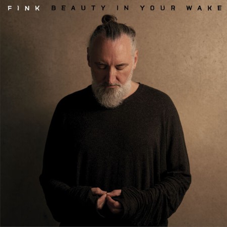 Fink - Beauty In Your We (2024)