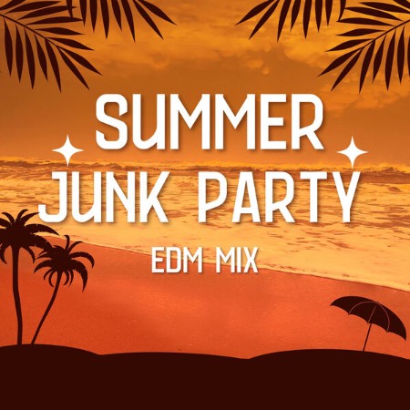 VA - Summer Junk Party EDM Mix 2024