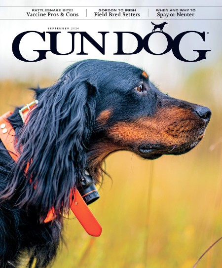 Gun Dog - September 2024 7b0a493fb1614ac928d2fa95f5ee36f6