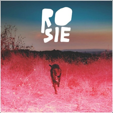 Kaycie Satterfield - Rosie (2024) [16Bit-44 1kHz] FLAC  Db92bb71362a4cd10a59757061a30d0b