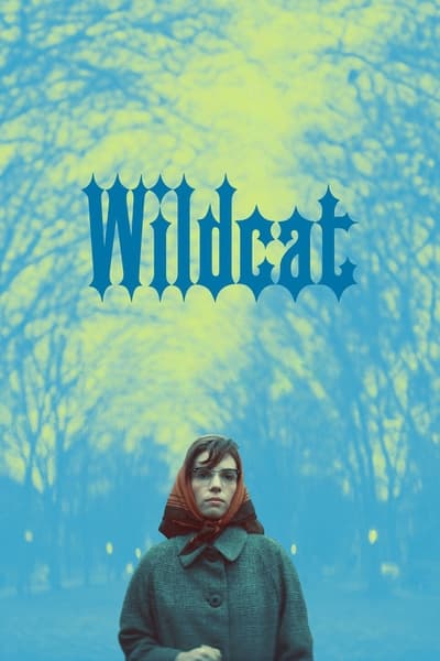 Wildcat 2023 1080p AMZN WEB-DL DDP2 0 H 264-BYNDR