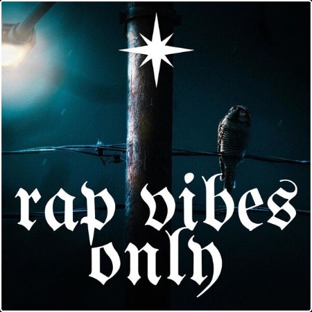 Various Artists - rap vibes only (2024) Mp3 320kbps  95d2cff4e6492b8dbf313d48dd98fb27