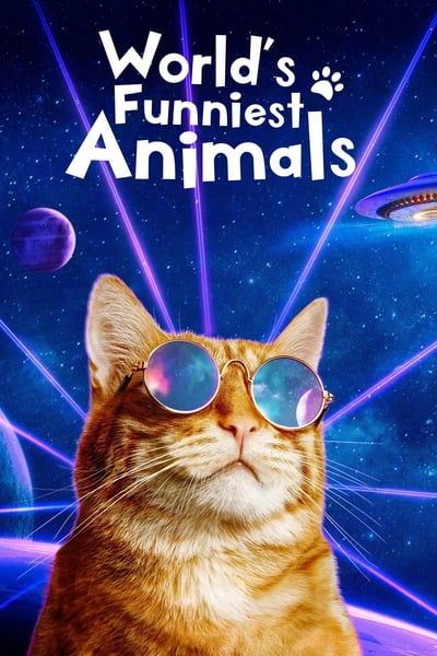 Worlds Funniest Animals S04E12 1080p HEVC x265-MeGusta