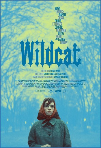 Wildcat 2023 1080p AMZN WEB-DL DDP2 0 H 264-BYNDR