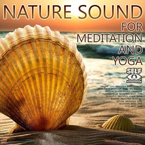 Nature Sound For Meditation And Yoga (Mp3)