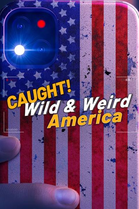 Amerykańscy ryzykanci / Wild & Weird America (2024) [SEZON 1 ]  PL.1080i.HDTV.H264-B89 / Lektor PL