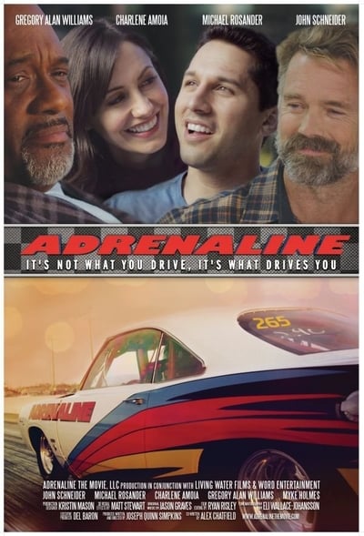 Adrenaline (2015) 1080p WEBRip-LAMA 6d3e1983c07a9ddaa5c6099458af60d0