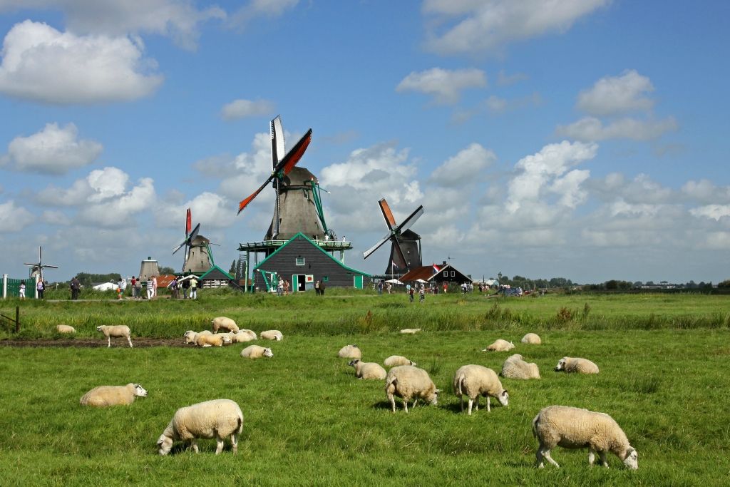 Zaanse Schans...Holandija - Page 2 0b4b13ee2009fbfe0317c87cf89feae1