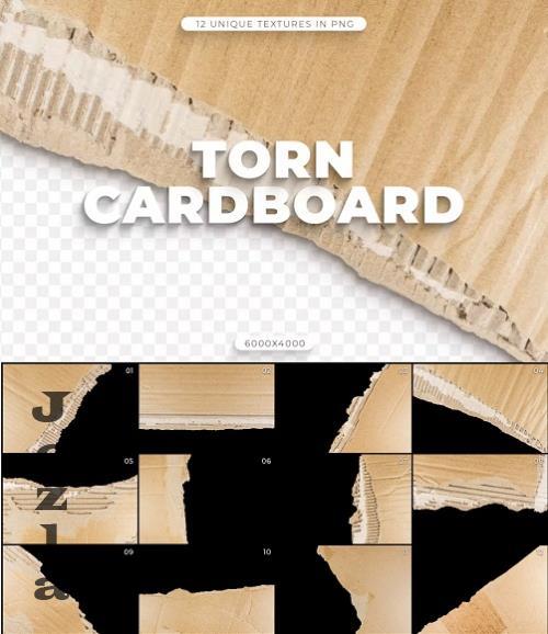 12 Torn Cardboard Textures - QD8MV9S