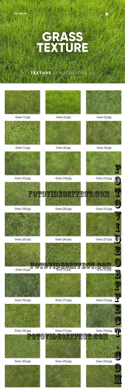 30 Grass Texture HQ - 279728282