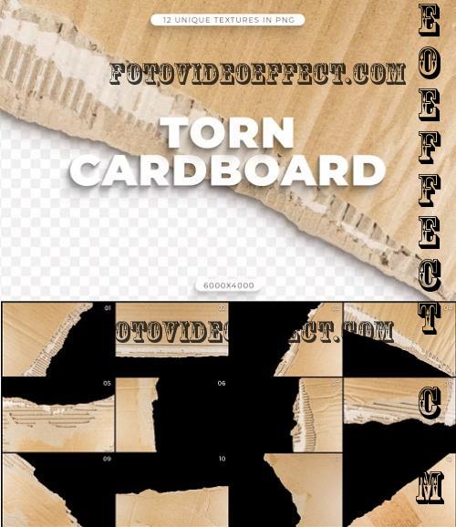 12 Torn Cardboard Textures - QD8MV9S