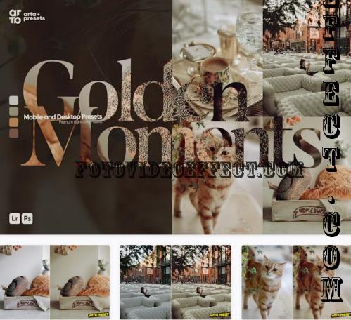 ARTA - Golden Moments Presets for Lightroom - Z9LDR5E